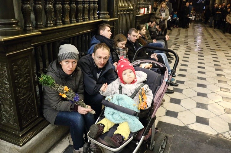 Niedziela Palmowa 2016 na Wawelu