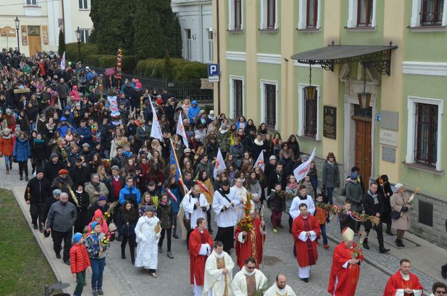 Niedziela Palmowa w Sandomierzu 