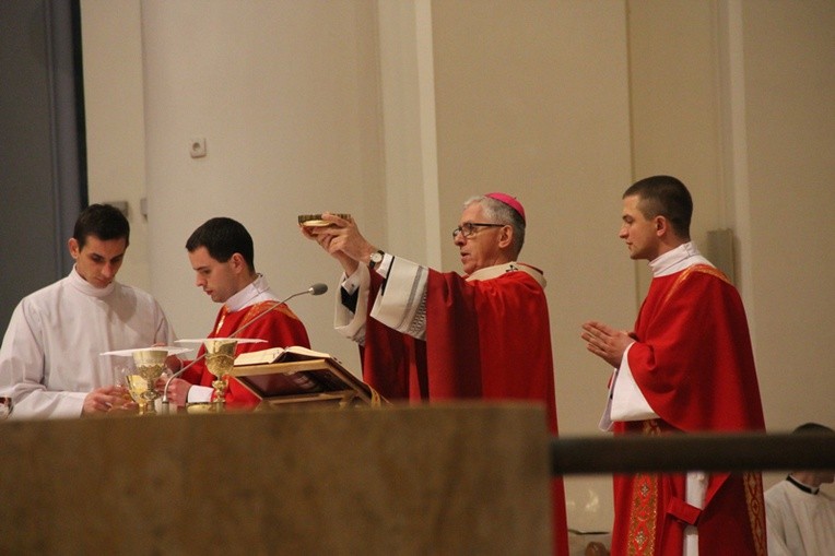 Niedziela Palmowa w Katowicach, cz. I