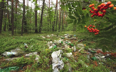 Śmieci plastikowe to nie tylko problem estetyczny, ale także ekologiczny i ekonomiczny