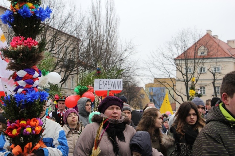 Niedziela Palmowa w Łowiczu, cz. II