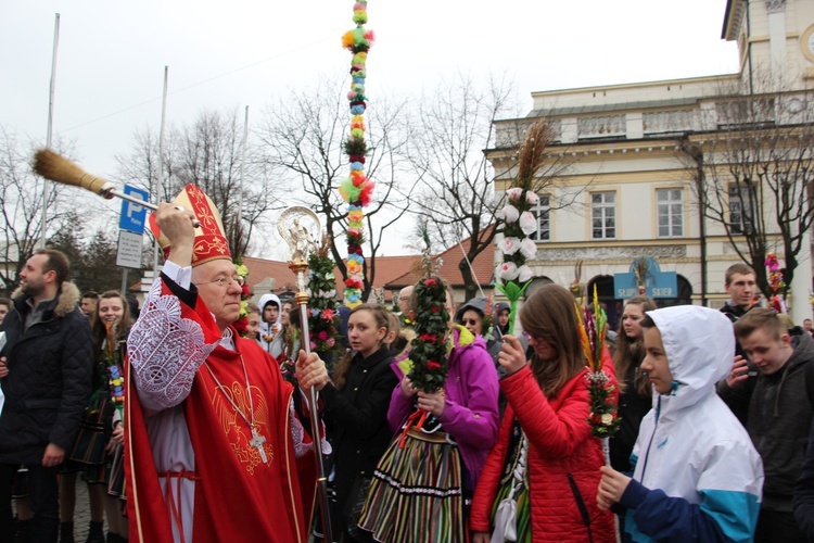 Niedziela Palmowa w Łowiczu, cz. II