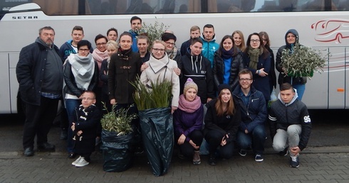 Gałązki oliwne są już w Polsce!