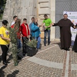 Pielgrzymka wolontariuszy do Włoch po gałązki oliwne