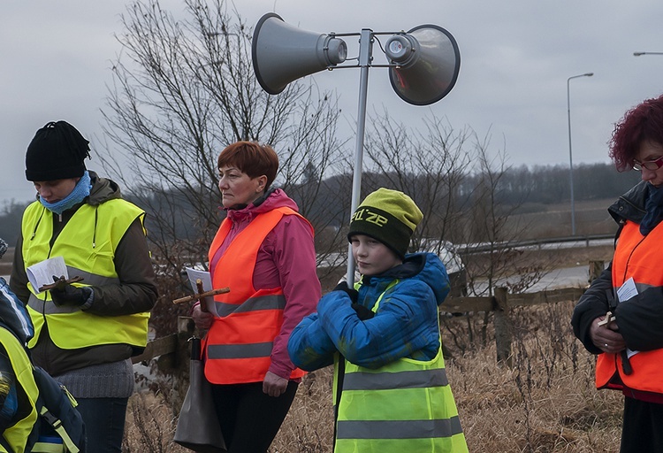 Droga Krzyżowa z Karlina do Domacyna