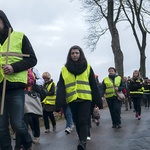 Droga Krzyżowa z Karlina do Domacyna