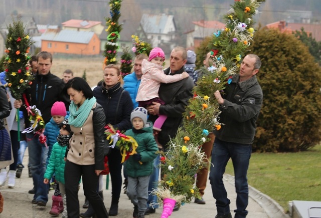 Palmy w Sopotni Wielkiej