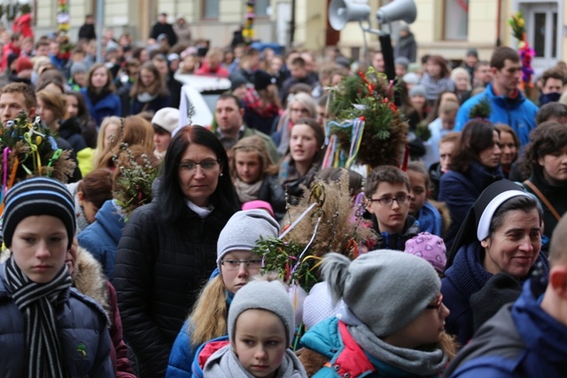 Niedziela Palmowa w katedrze 2016