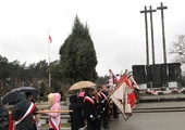 Co roku na cmentarzu na Firleju organizowane są uroczystości patriotyczne ku czci pomordowanych przez oprawców hitlerowskich