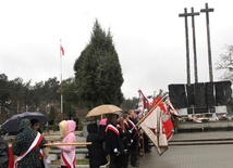 Co roku na cmentarzu na Firleju organizowane są uroczystości patriotyczne ku czci pomordowanych przez oprawców hitlerowskich