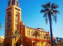 Rząd Egiptu o „ochronie kościołów w islamie”