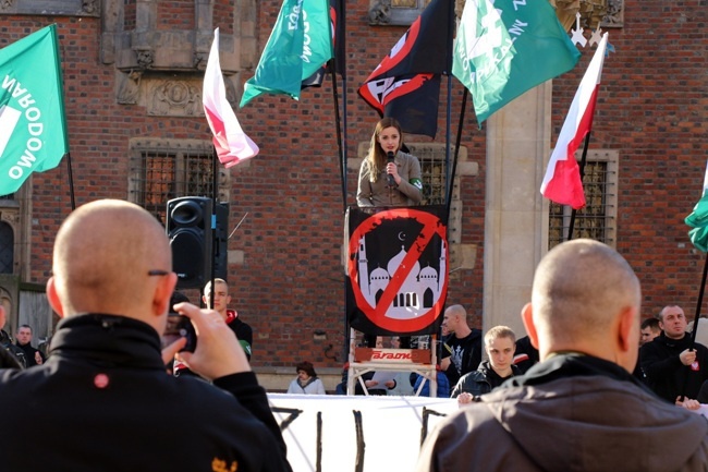 Manifestacja środowisk narodowych