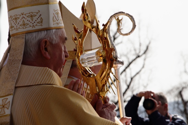 Rozdanie gałązek oliwnych w Łagiewnikach i obchody Niedzieli Miłosierdzia