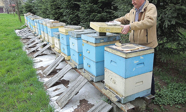 Ks. Marek Kręcioch rozpoczyna przegląd swoich uli po sezonie zimowym