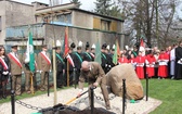 Dąb dla Polski i górników 