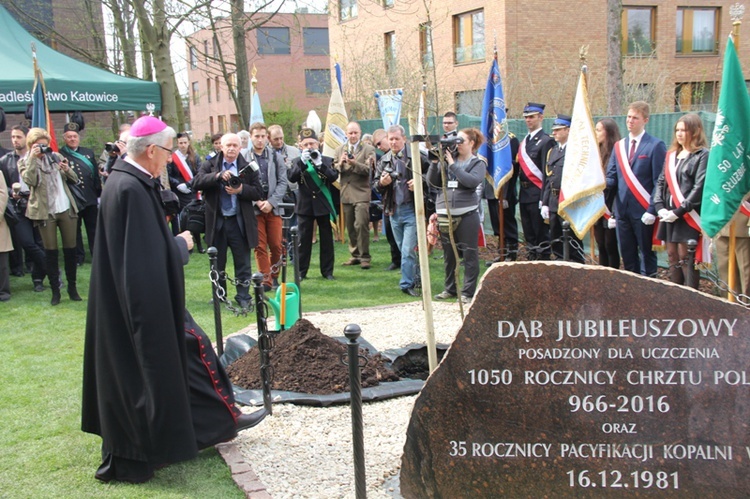 Dąb dla Polski i górników 