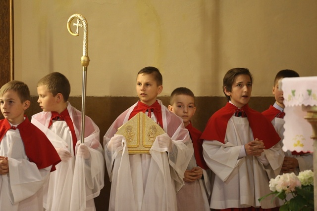 Znaki Bożego Miłosierdzia u NMP Wspomożenia Wiernych w Dziedzicach