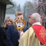 Znaki Bożego Miłosierdzia u św. Maksymiliana w Czechowicach