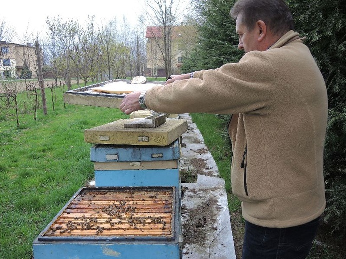 Pszczelarska pasja proboszcza i św. Ambroży