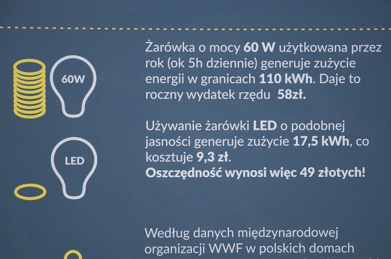 Oszczędzaj prąd z Reni Jusis