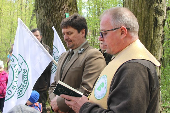 Młody las już rośnie