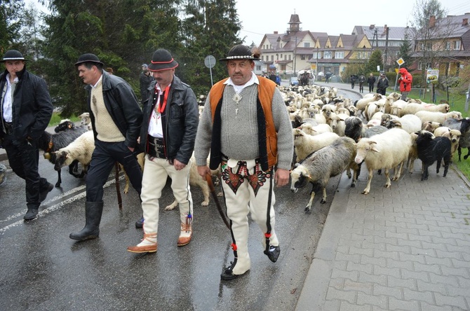 Święto Bacowskie w Ludźmierzu