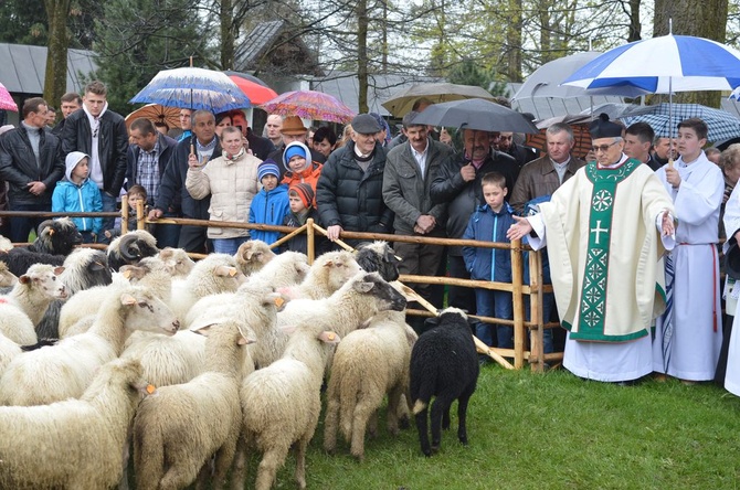 Święto Bacowskie w Ludźmierzu