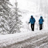 Niemcy: - 17 stopni C na najwyższej górze w kraju