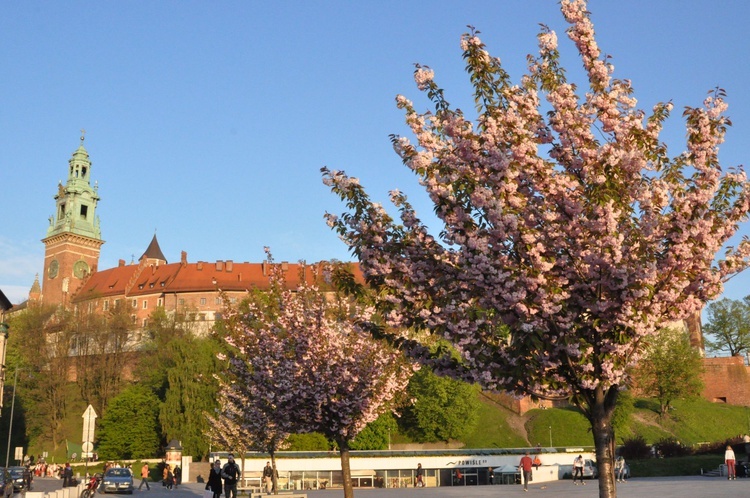 Ze Szczepanowa na Wawel