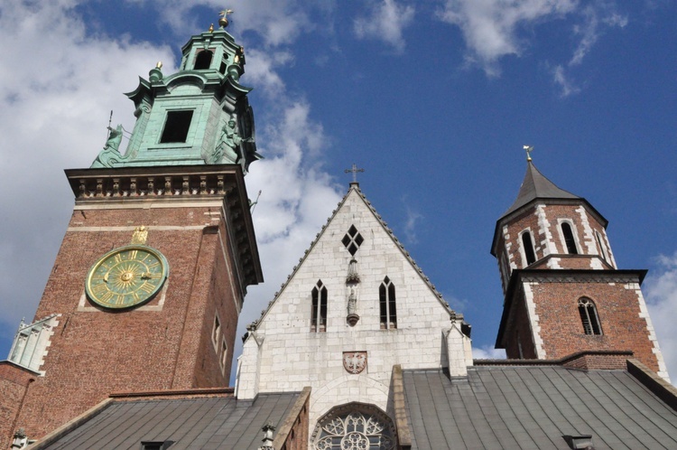 Ze Szczepanowa na Wawel