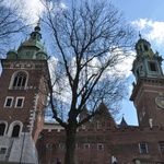 Ze Szczepanowa na Wawel