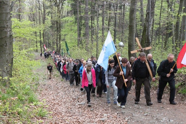 Pielgrzymka na Ślężę