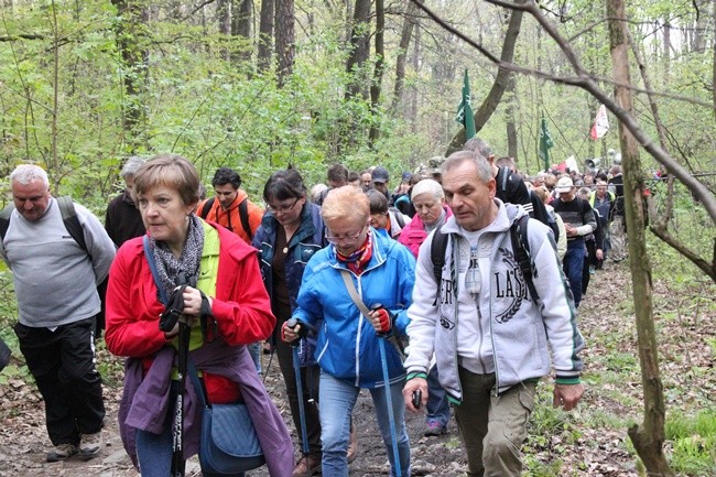 Pielgrzymka na Ślężę