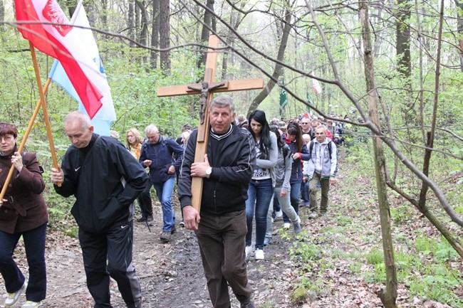 Pielgrzymka na Ślężę