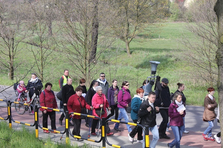 3. Pielgrzymka szensztacka z Żernik do Rokitnicy