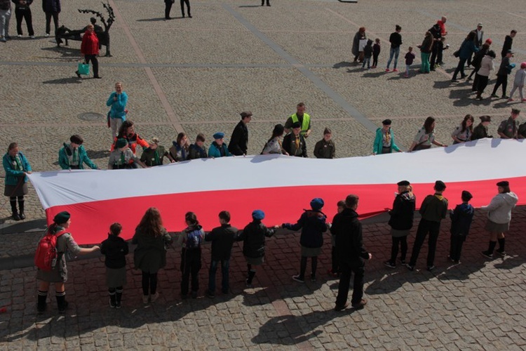 Święto Falgi w Skierniewicach