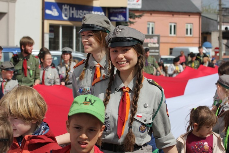 Święto Falgi w Skierniewicach