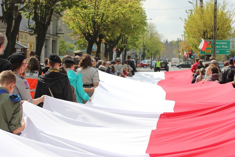 Święto Falgi w Skierniewicach