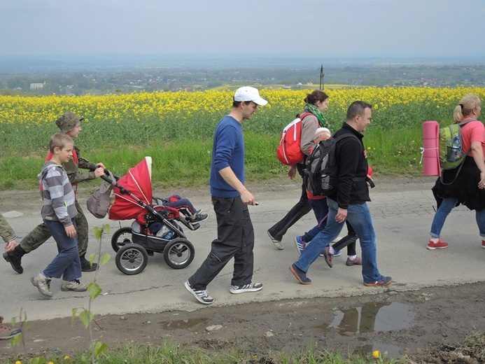 Z Przytkowic przez Polankę Hallera i Radziszów