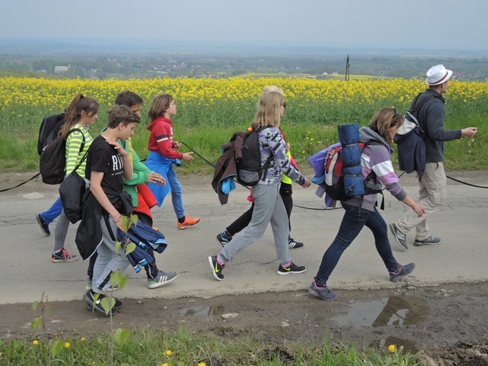 Z Przytkowic przez Polankę Hallera i Radziszów