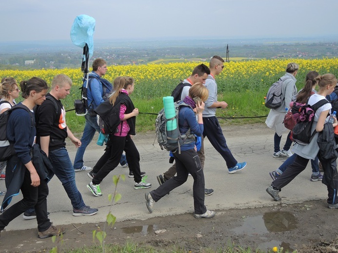 Z Przytkowic przez Polankę Hallera i Radziszów