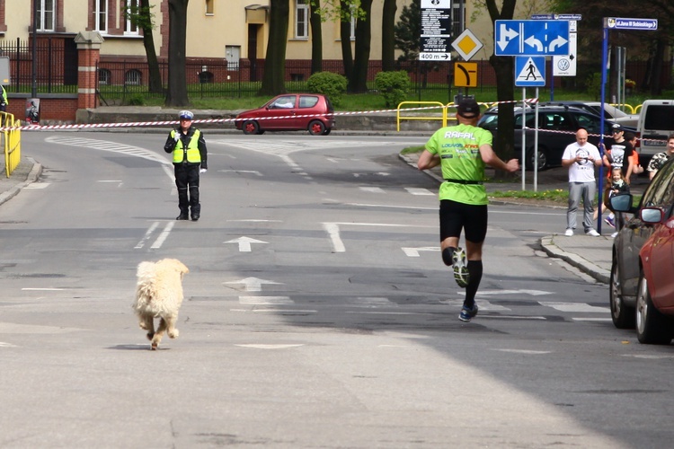 Półmaraton "Tak dla transplantacji"