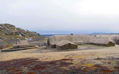 Niemal na każdym kroku można znaleźć potwierdzenie tego, że Islandia jest wyspą wulkaniczną. Wszędzie też znajdziemy dowody na to, że życie nie ma tutaj zamiaru odpuszczać.