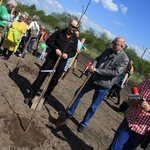 Nowe drzewa w Parku Tysiąclecia