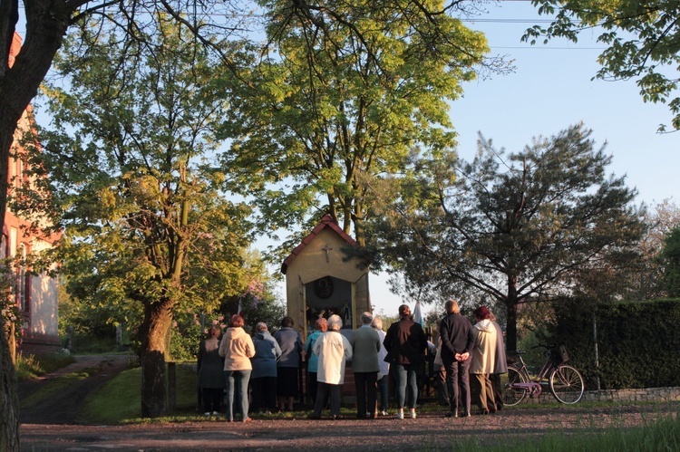 Majówka na Starych Piekarach