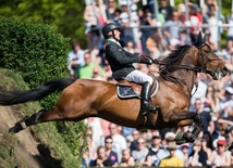 Końska dawka sportu