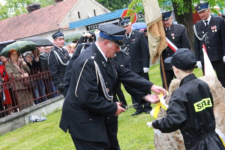 Dąb papieski w Radłowie