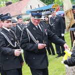 Dąb papieski w Radłowie