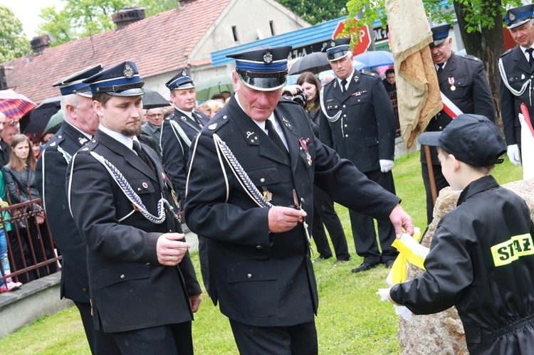 Dąb papieski w Radłowie