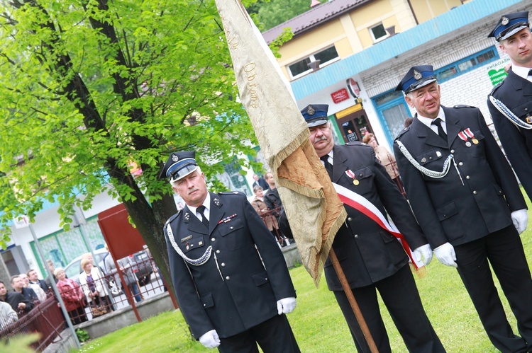 Dąb papieski w Radłowie